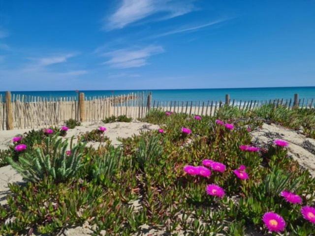 Maison Plein Pied Proximite Plage Et Commerce - 5Sir33 Villa Le Barcares Exterior photo